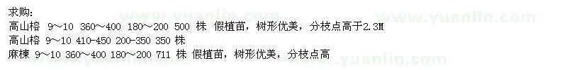 求購高山榕、麻楝