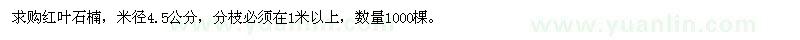 求購米徑4.5公分紅葉石楠