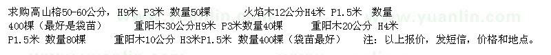 求購高山榕，火焰木，重陽木