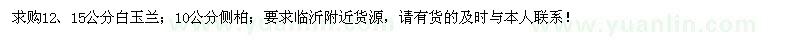 求購白玉蘭、側(cè)柏