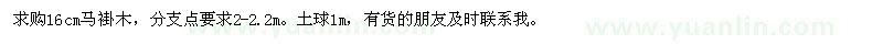 求購馬褂木