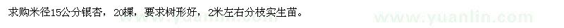 求購米徑15公分銀杏