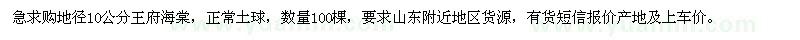 求購地徑10公分王府海棠100棵