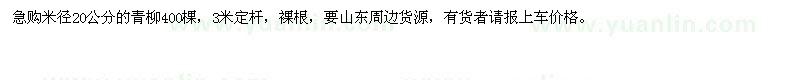 求購米徑20公分的青柳400棵