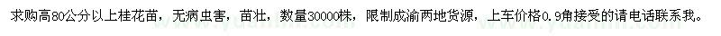 求購高80公分以上桂花苗