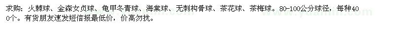 求購火棘球、金森女貞球、龜甲冬青球等苗木