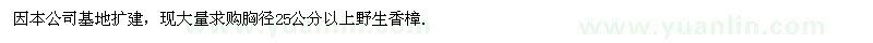 求購胸徑25公分以上野生香樟
