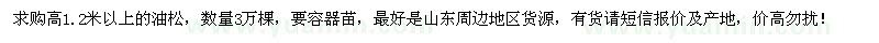 求購(gòu)高1.2米以上油松3萬(wàn)棵