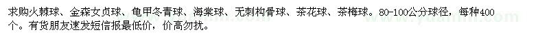 求購火棘球,金森女貞球,龜甲冬青球,海棠球