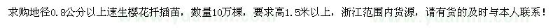 求購地徑0.8公分以上速生櫻花扦插苗10萬棵