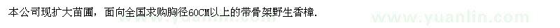 求購胸徑60CM以上的帶骨架野生香樟