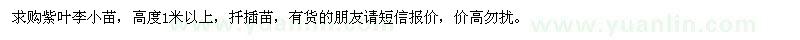 求購(gòu)紫葉李小苗
