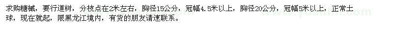 求購糖槭