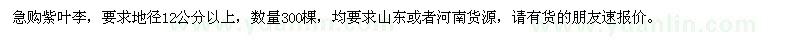 求購紫葉李