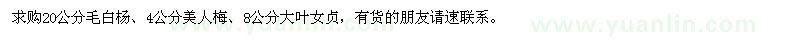 求購(gòu)毛白楊,美人梅,大葉女貞