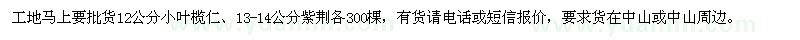 求購12公分小葉欖仁,13-14公分紫荊