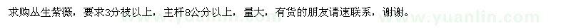 求購(gòu)叢生紫薇