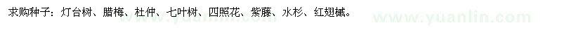 求購水杉、紫藤種子、燈臺樹、臘梅、杜仲、七葉樹等