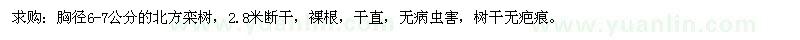 求購(gòu)胸徑6-7公分的北方欒樹