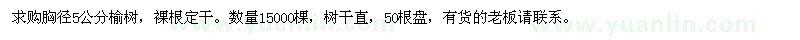 求購胸徑5公分榆樹