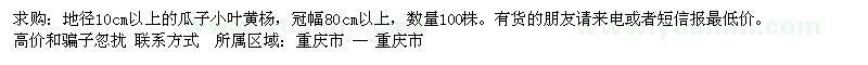 求購地徑10cm以上的瓜子小葉黃楊