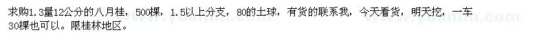 求購1.3量12公分的八月桂 
