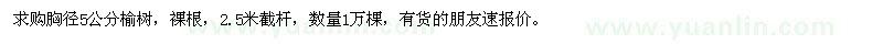 求購胸徑5公分榆樹1萬棵