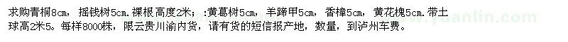 求購青桐、搖錢樹、黃葛樹、羊蹄甲、香樟、黃花槐