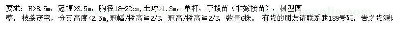 求購胸徑18-22公分實生銀杏