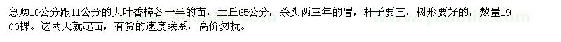 求購急10-11公分殺頭兩三年的大葉香樟1900棵