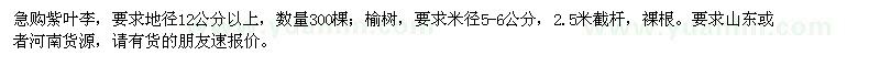 求購急紫葉李,榆樹