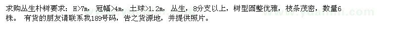 求購叢生樸樹