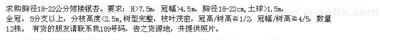 求購(gòu)胸徑18-22公分嫁接銀杏