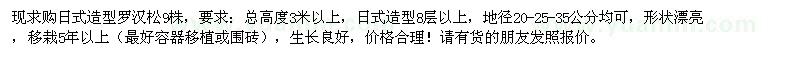 求購日式造型羅漢松