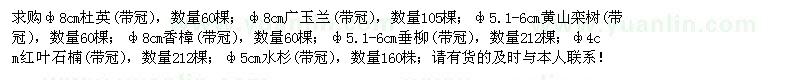 求購(gòu)杜英、廣玉蘭、香樟、水杉
