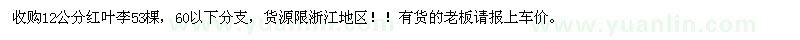 求購12公分紅葉李