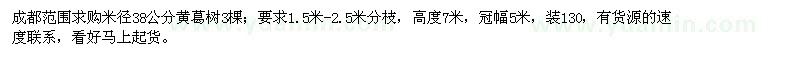 求購米徑38公分黃葛樹3棵