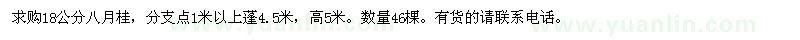 求購18公分八月桂