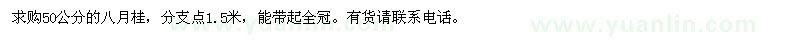 求購(gòu)50公分的八月桂