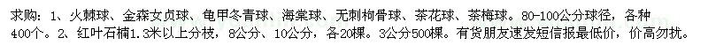 求購火棘球、金森女貞球、龜甲冬青球、海棠球、無刺枸骨球、茶花