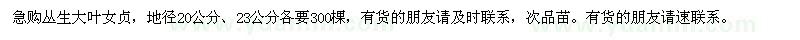 求購地徑20公分,23公分叢生大葉女貞，急 