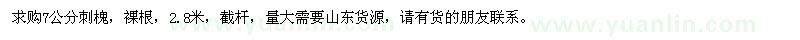 求購(gòu)7公分刺槐
