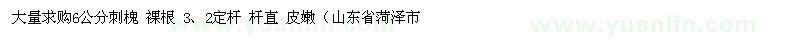 求購(gòu)6公分刺槐 裸根 3、2定桿 桿直 皮嫩