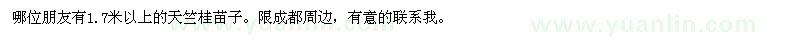 求購(gòu)1.7米以上的天竺桂苗子 