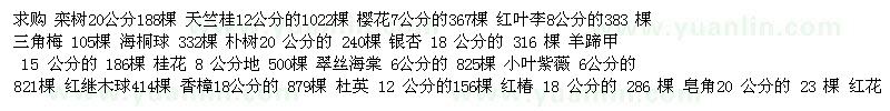 求購(gòu)欒樹 天竺桂 櫻花 紅葉李 