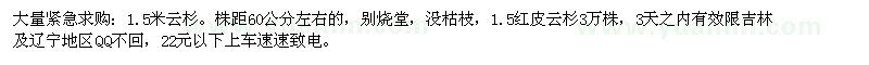 求購(gòu)大量緊急1.5米云杉，1.5紅皮云杉3萬(wàn)株 