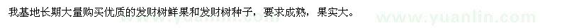 求購發(fā)財樹種子