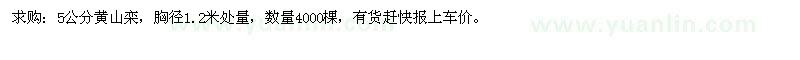 求購(gòu)5公分黃山欒