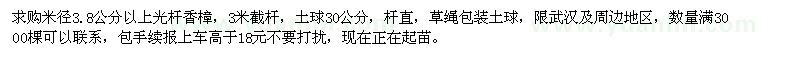 求購米徑3.8公分以上光桿香樟3000棵