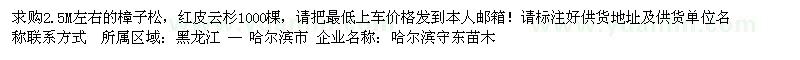 求購2.5M左右的樟子松
